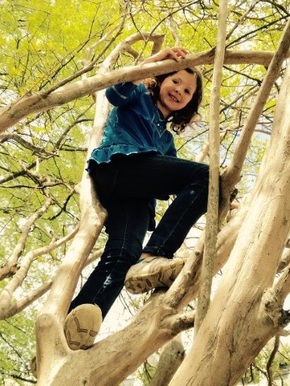 Don't stop climbing trees