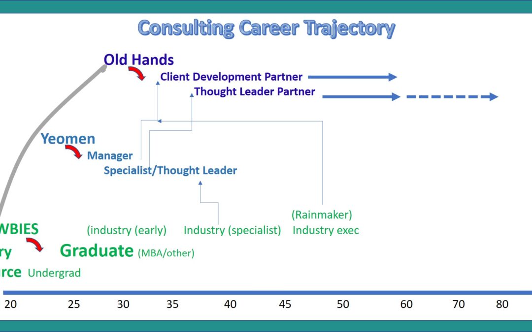 Trajectory of a Consulting Career