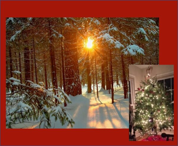 The solstice sun sets in the evergreen and snowy woods and a Christmas tree is lighted