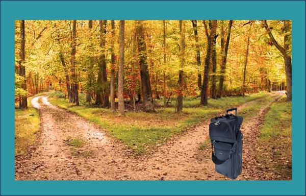 Consulting Career Choices Wisdom From Unusual Places