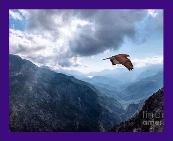 A hawk sometimes flew over the mountains between Eastland and Westland.