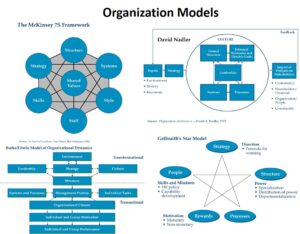 Organization Models McKinsey 7S, Nadler Org system, Burke-litwin Org Dynamics, Galbraith Star