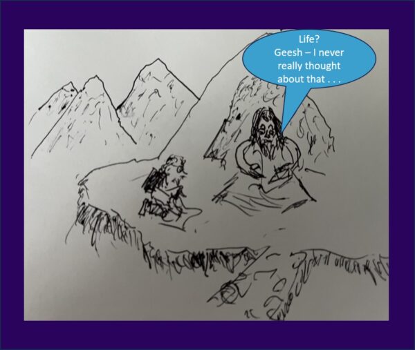 Who Leads The Leader Wisdom From Unusual Places