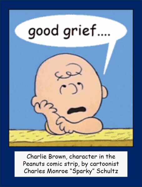 Balousov Zhabatinsky Peanuts Charlie Brown :Good Grief
