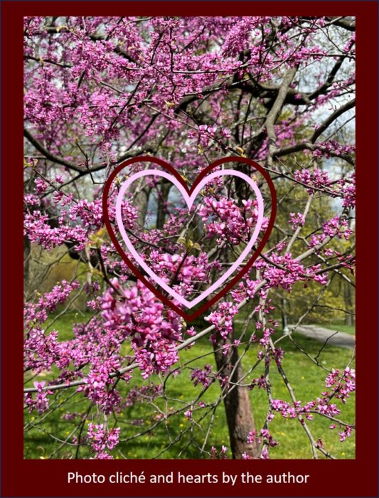 Lost Knowledge Mashup Photo cliché Cherry blossoms with hearts
