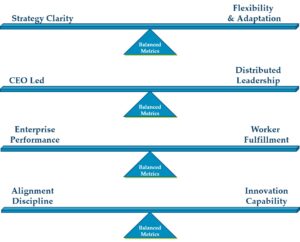 See-saws depicting balance between multiple organizational elements described in the text