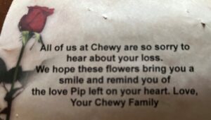 All of us at Chewy are so sorry to hear your loss. We hope that these flowers will bring you a smileand remind you of the love Pip left on your heart. - Your Chewy Family.