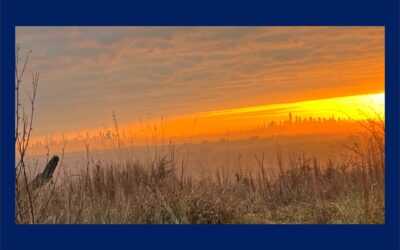 The View from the Ridge: Values
