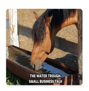 Horse drinking from a water trough.